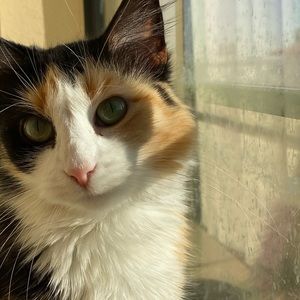 Meet your Posher, Cherokee